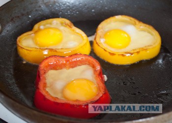 28 крутейших кухонных гаджетов