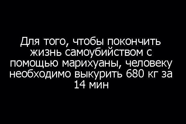 Легализуют ли в России коноплю?