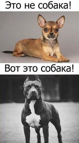 Веселые картинки на пятницу