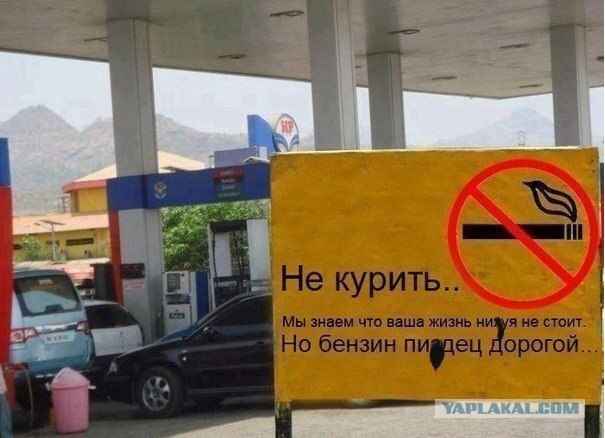 Прикольные картиночки