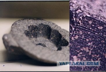 В Египте открыли некрополь Серапеум