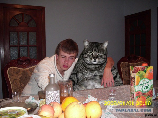 До и после фотошопа