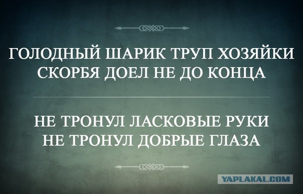 Прикольные фото и картинки