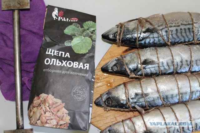 У нас сегодня выходной