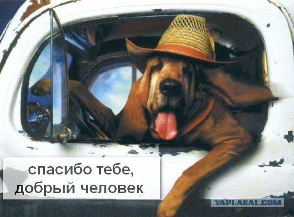 Сложно ли делать добро?