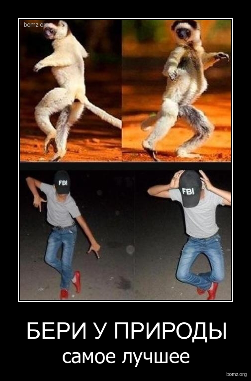 Подборка интересных и веселых картинок