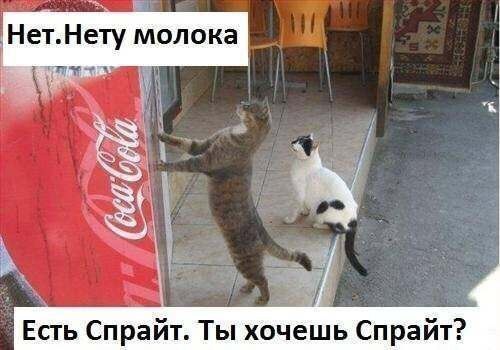 Мохнатые беспредельщики