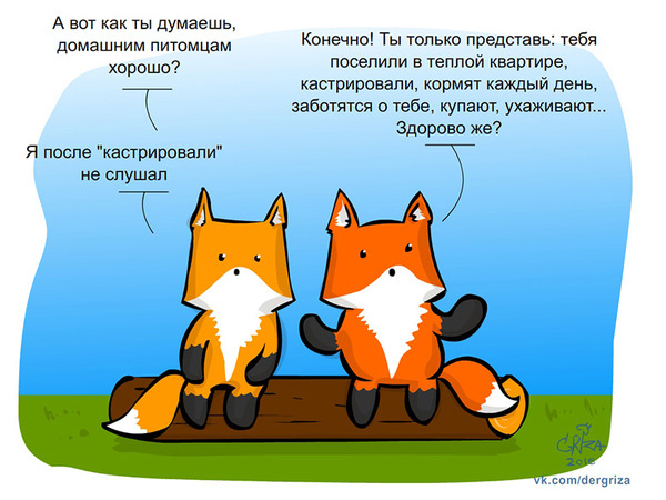 Подборка интересных и смешных картинок