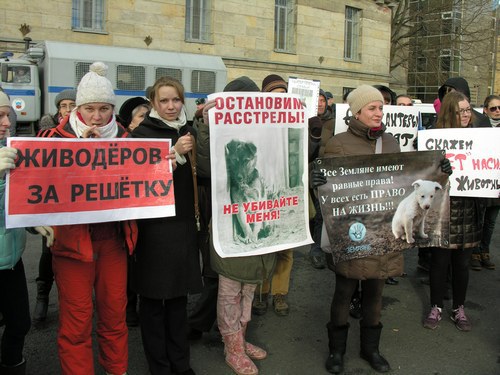 В Сети появилось жуткое видео издевательств твари в человеческом виде над собакой