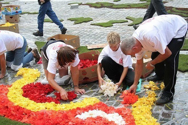 Картинки для отдыха глаз