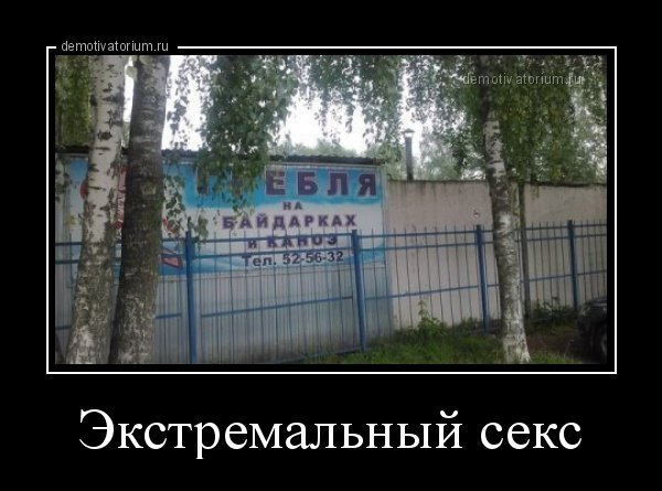 Картинки и приколы из сети, для поднятия настроения=)