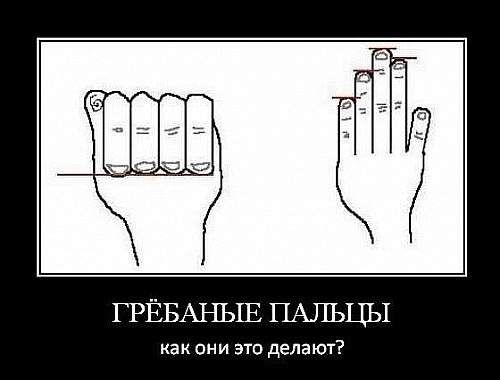 Картинки с интернетов