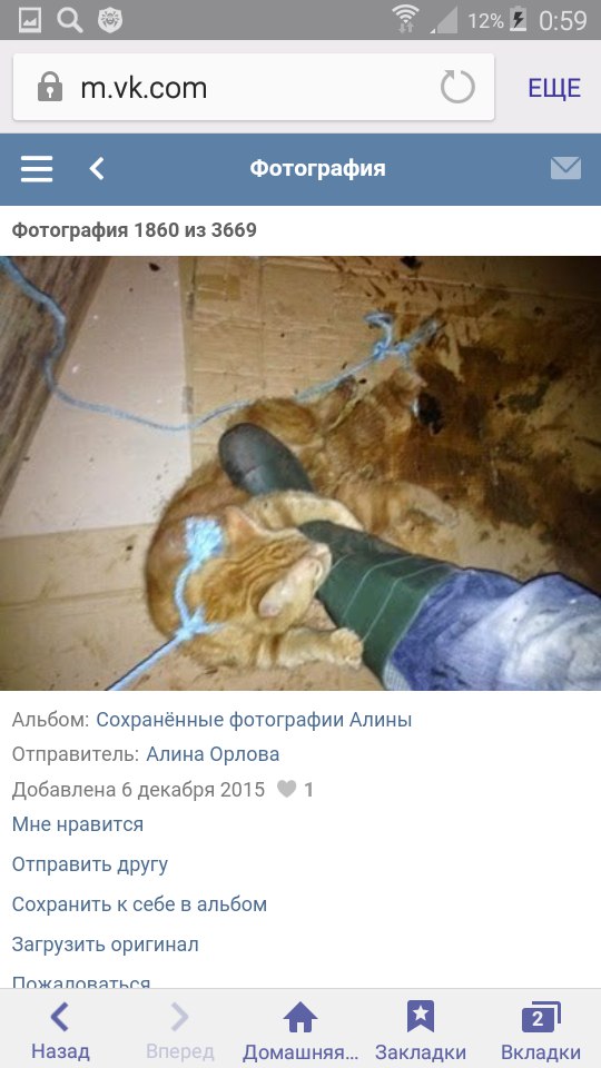Живодерки из Хабаровска