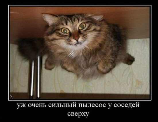 Всячина. Картинки