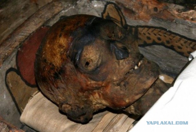 Жуткие вещи, найденные новыми владельцами домов
