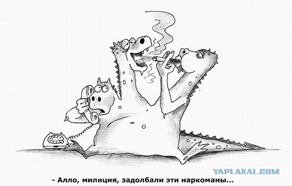 Путин подписал закон о лишении военных пособий за непрохождение теста на наркотики