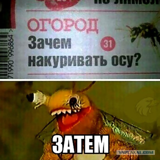 Аморальный и чёрный юмор к началу недели