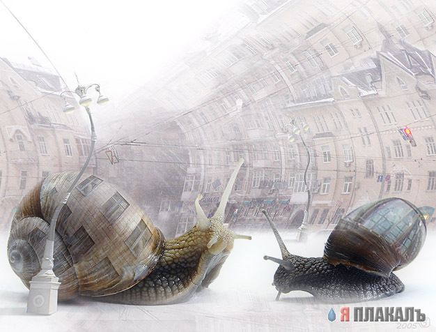 Фентели от Stanislav Jagelo