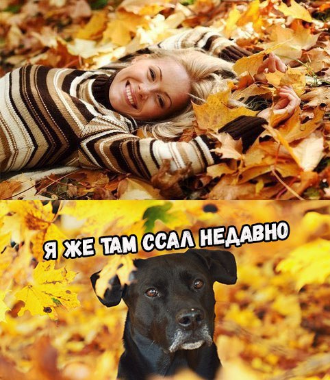 Странный юмор