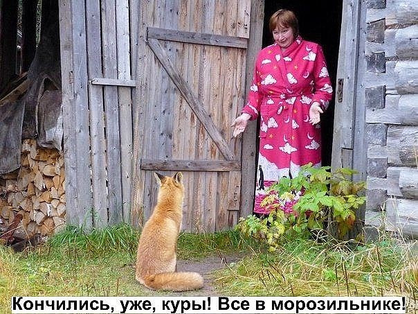 Просто картинки