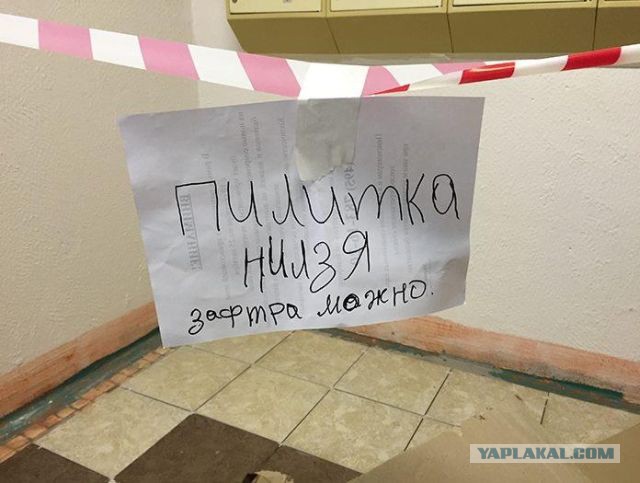 Узбекские националисты в Москве