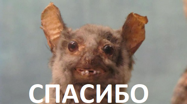 Немного картинок на этот вторник