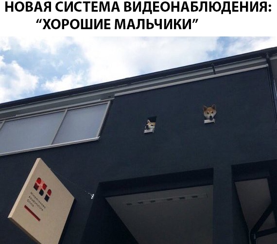 Прикольные картинки обо всём
