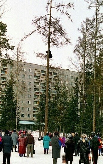 Милые животные. Мимиметр сломался