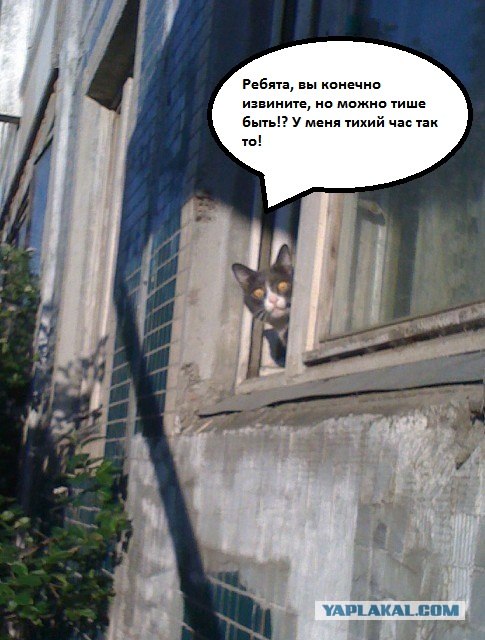 Шок, это по нашему!