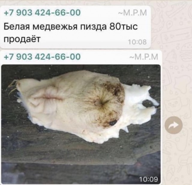 Стандартный юмор #4