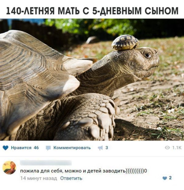Анекдоты, истории и картинки с надписями