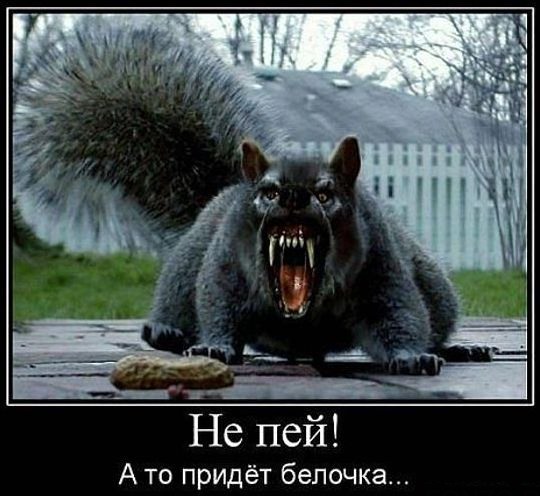 Суббота машет нам всеми конечностями
