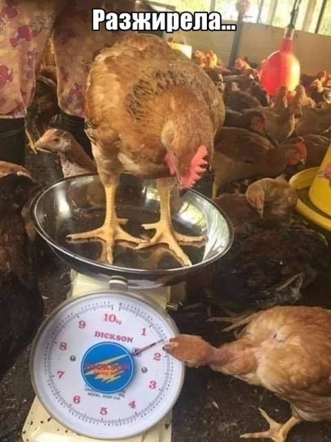 13126508.jpg