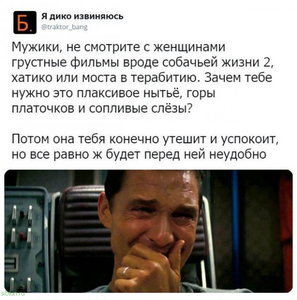 Пикчи 21-09-19