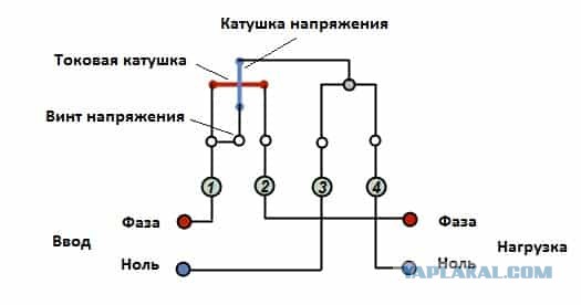 Женщина провела в Сербии больше 10 лет и хочет поделиться тем, что удивляет её до сих пор