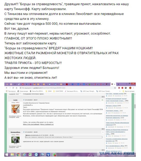 Помогите вернуть кота! Приют "Преданное сердце" украл кота и не отдает!