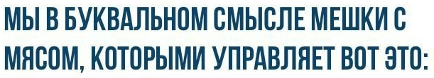 Аморалка light