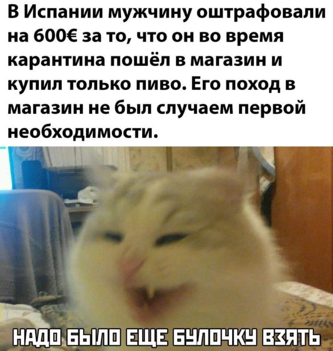 https://s00.yaplakal.com/pics/pics_original/8/0/5/14135508.jpg