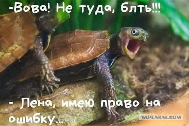 Отправили в плавание