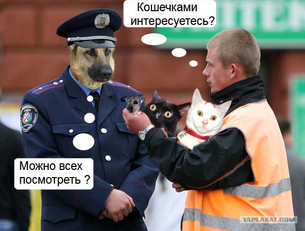 Фотожаба: Ты че, спалимся!