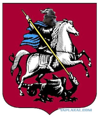 Черный всадник