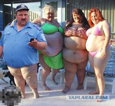 Фотожаба:На связи