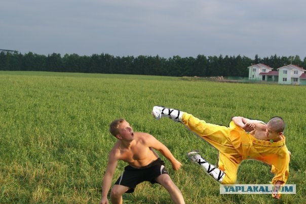 Фотожаба: Страх в глазах