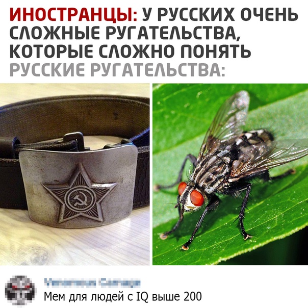 Немного картинок для настроения 27.10.20