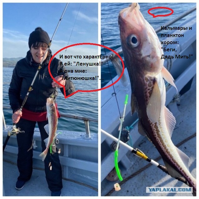 #ЯПовар. Печеньки-«улитки» с плавненым сырком