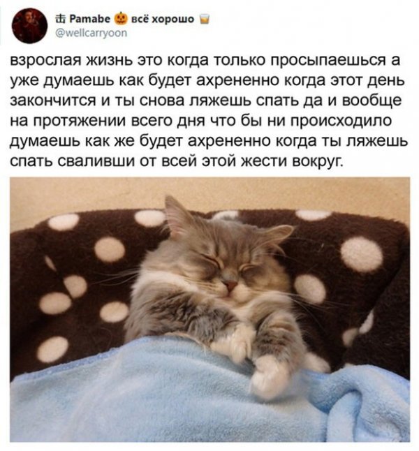 Прикольные и просто красивые картинки 22.12.2020