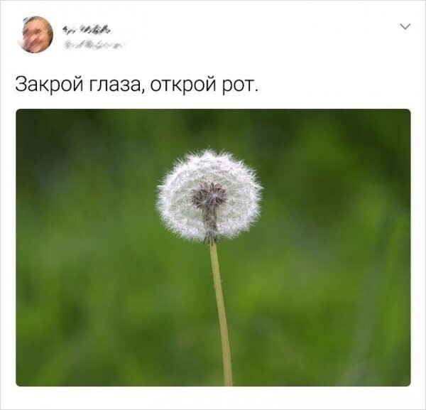 Пользователи Сети о советском детстве