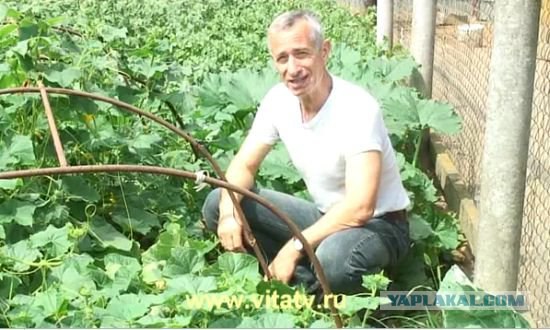 Новый взгляд на детские песни