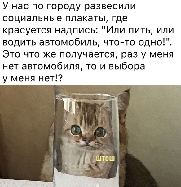 Картинки и мемы для настроения 30.04.21
