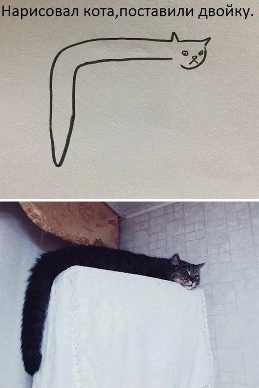 Вторник-кото